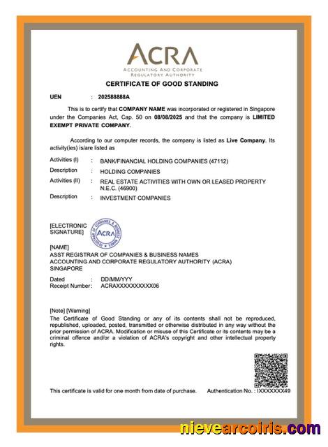 Singapore certificate of good standing, version 2